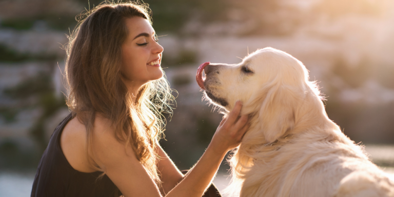 Precis blivit hundägare? 5 tips för att säkra att din hund får ett bra liv!